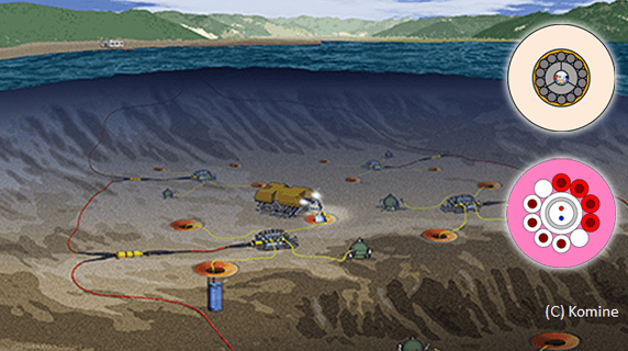 Seabed Cable