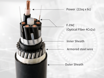 Armored Cable