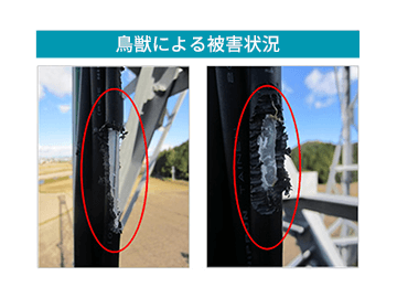 鳥獣による被害状況