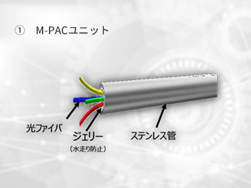概要
