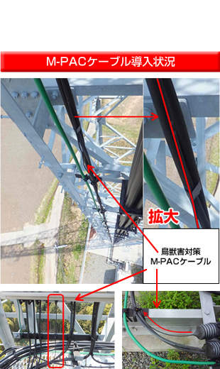 携帯基地局 鳥獣害対策(株式会社NTTドコモ 四国支社様)